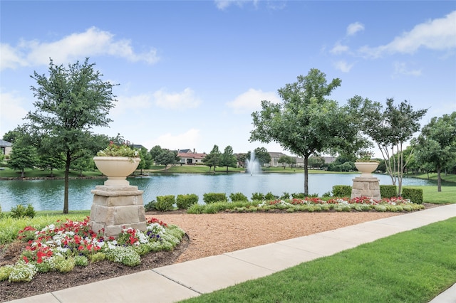 6644 Josephine St, Plano, TX 75024 - water view