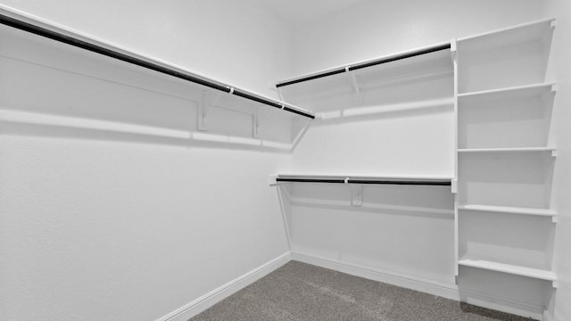 11213 Orchard Ln, Justin, TX 76247 - spacious closet with carpet floors