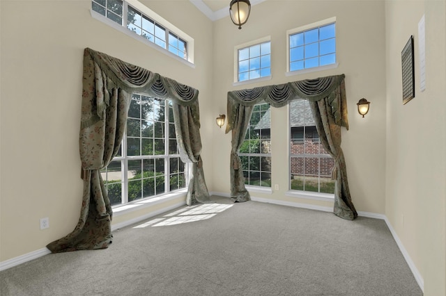 621 Maize Rd, Murphy, TX 75094 - foyer with carpet flooring, baseboards, a high ceiling, and ornamental molding