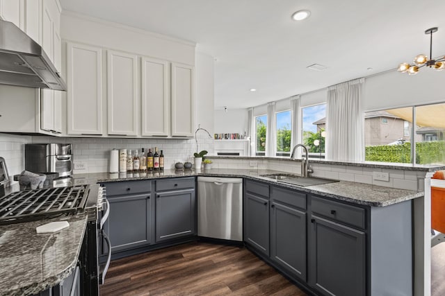 4932 Glenscape Trl, Fort Worth, TX 76137 - kitchen with appliances with stainless steel finishes, a sink, extractor fan, gray cabinets, and a peninsula