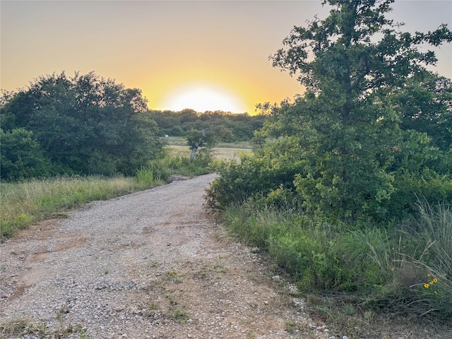 LOT149 Hidden Shores Dr, Cisco, TX 76437