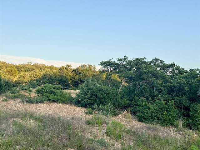 LOT149 Hidden Shores Dr, Cisco, TX 76437
