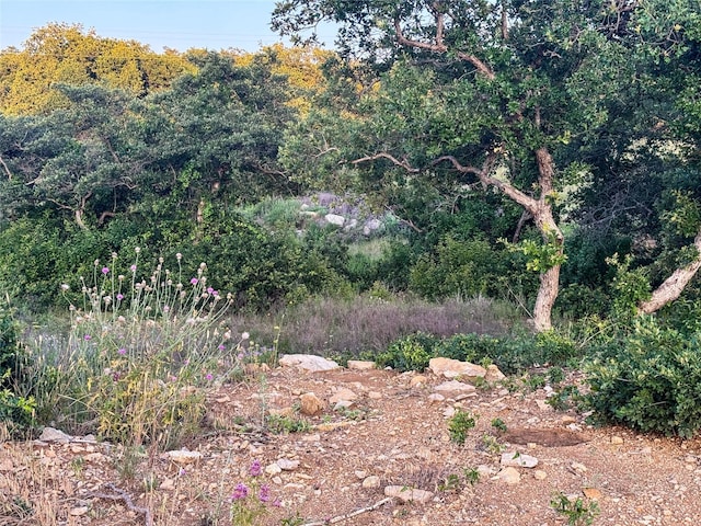 LOT149 Hidden Shores Dr, Cisco, TX 76437
