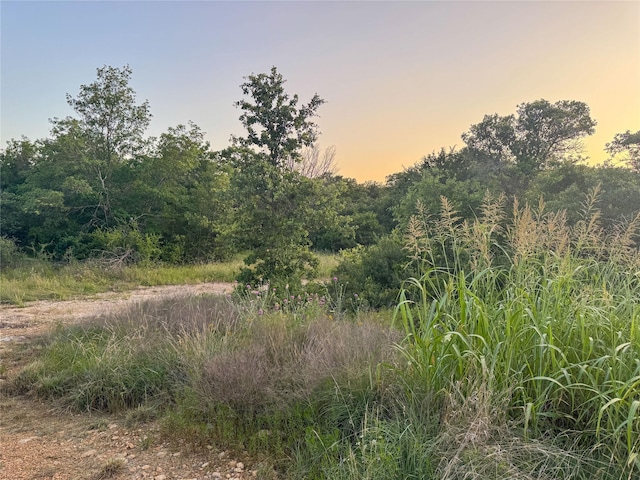 LOT149 Hidden Shores Dr, Cisco, TX 76437