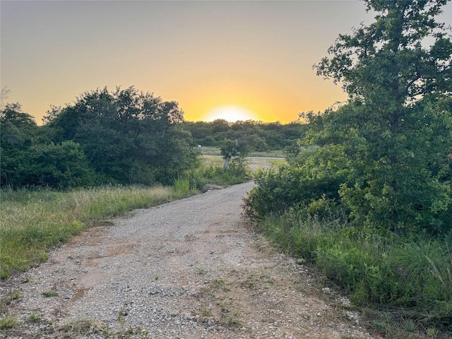 LOT149 Hidden Shores Dr, Cisco, TX 76437