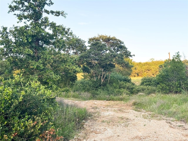LOT149 Hidden Shores Dr, Cisco, TX 76437