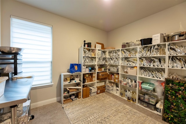 3036 Lionsgate Dr, Argyle, TX 76226 - view of storage room