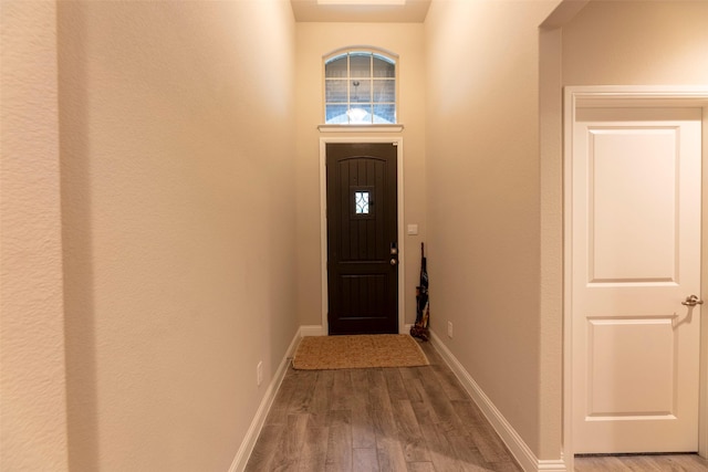 3036 Lionsgate Dr, Argyle, TX 76226 - doorway featuring wood finished floors, baseboards, and plenty of natural light