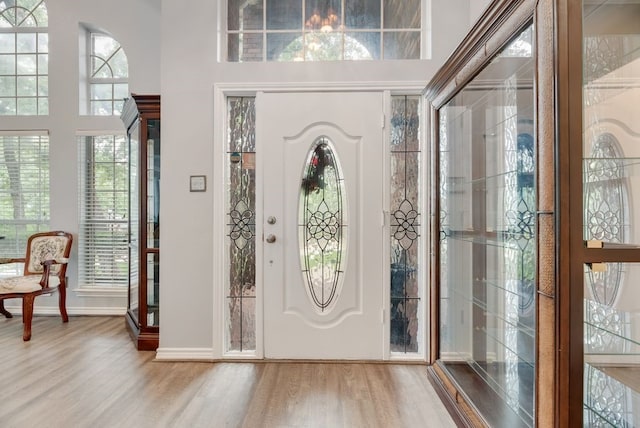 2805 Pine View Dr, Grapevine, TX 76051 - entrance foyer with wood finished floors, healthy amount of natural light, a high ceiling, and baseboards