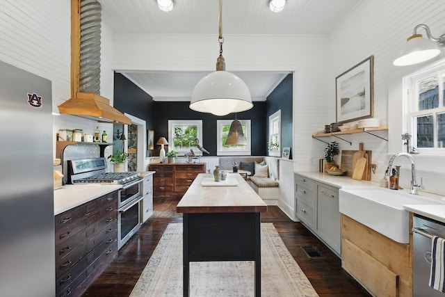 505 N College St, Mckinney, TX 75069 - kitchen featuring appliances with stainless steel finishes, a sink, dark wood-style flooring, ornamental molding, and butcher block counters