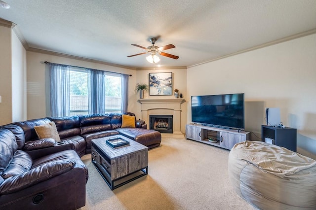 6620 Friendsway Dr, Fort Worth, TX 76137 - carpeted living area featuring ornamental molding, a ceiling fan, a fireplace with raised hearth, and a textured ceiling