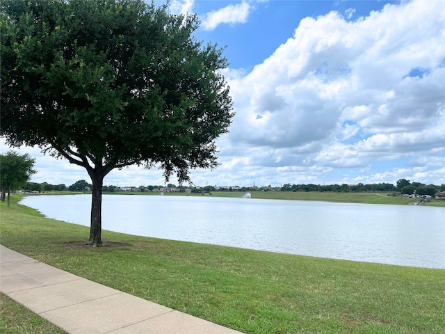8713 Trinity Vista Trl, Fort Worth, TX 76053 - water view