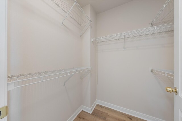 3225 Turtle Creek Blvd Unit 1012, Dallas, TX 75219 - walk in closet with light wood-type flooring