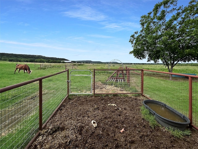 434 Thornton Ln, Palo Pinto, TX 76484 - view of yard with a view of rural / pastoral area and a gate