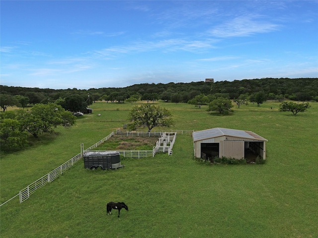 434 Thornton Ln, Palo Pinto, TX 76484 - view of rural area with agricultural land