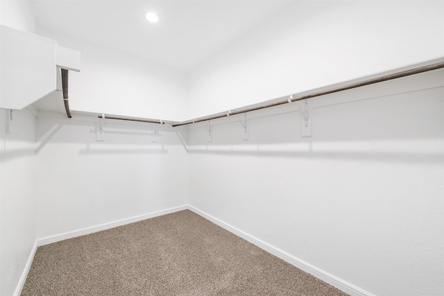 9653 Alderleaf Trl, Fort Worth, TX 76036 - spacious closet with carpet floors