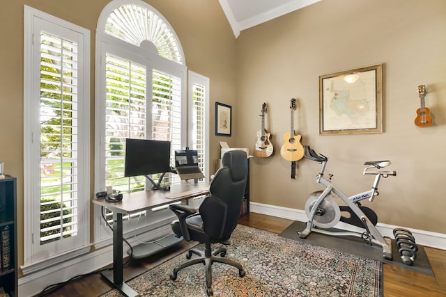 3601 Whitehaven Dr, Plano, TX 75093 - office space featuring ornamental molding, plenty of natural light, wood finished floors, baseboards, and vaulted ceiling