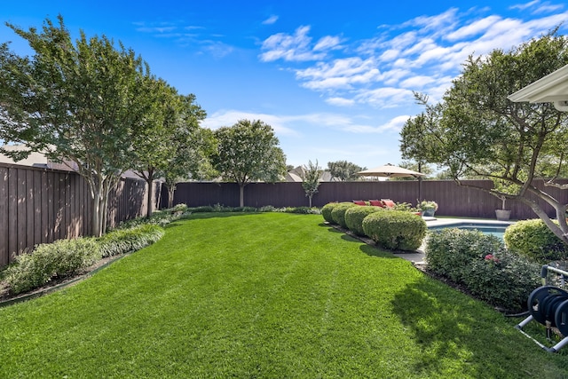3601 Whitehaven Dr, Plano, TX 75093 - view of yard