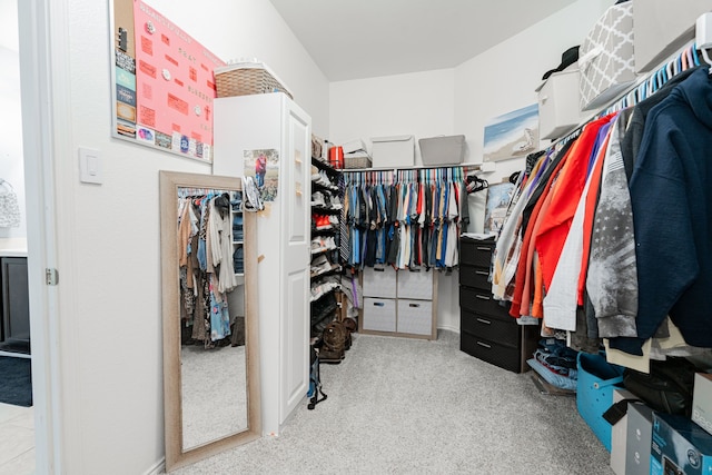 273 Pitt Cir, Fate, TX 75189 - spacious closet featuring carpet flooring