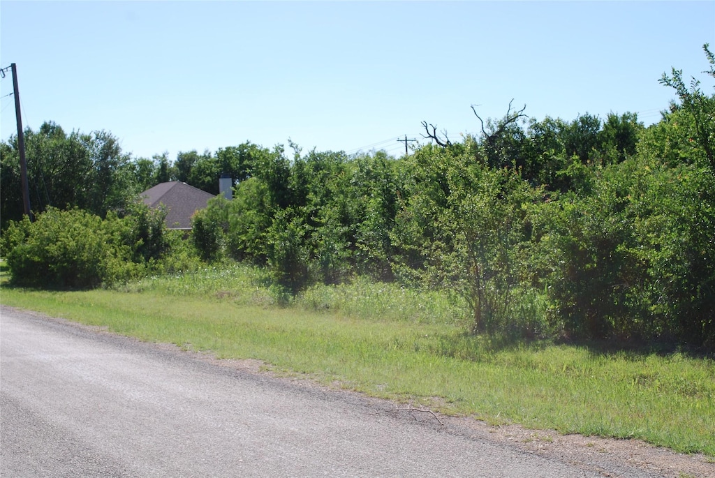 12065 Westmeadow Dr, Whitney, TX 76692