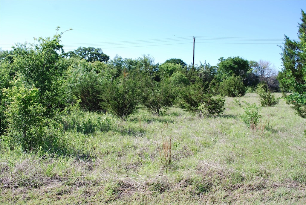 12065 Westmeadow Dr, Whitney, TX 76692