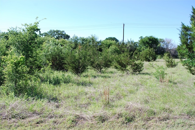 12065 Westmeadow Dr, Whitney, TX 76692