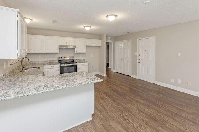 2502 Lake Valley Dr, Garland, TX 75040 - kitchen with stainless steel electric range, a sink, under cabinet range hood, a peninsula, and white cabinetry