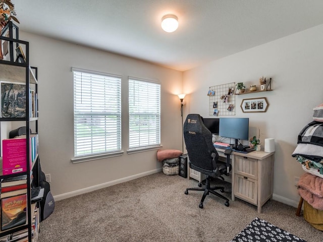 519 Stampede Ln, Princeton, TX 75407 - carpeted office with baseboards