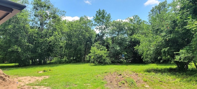 4017 Pickett St, Greenville, TX 75401 - view of green lawn
