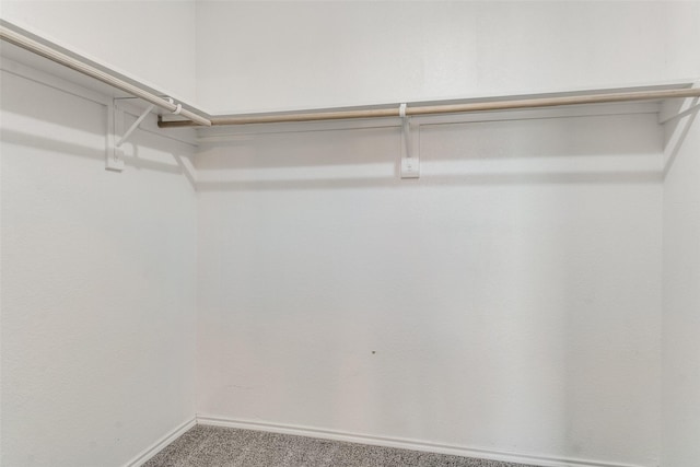 2600 Spencer Cir, Royse City, TX 75189 - walk in closet with carpet