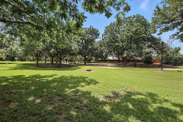 14620 Windsor Ct, Addison, TX 75001 - view of grassy yard