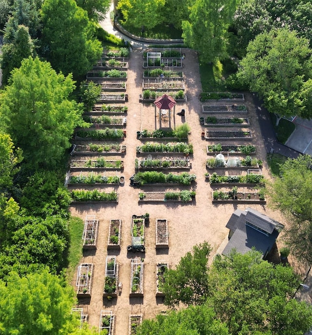 4040 Morman Ln, Addison, TX 75001 - drone / aerial view