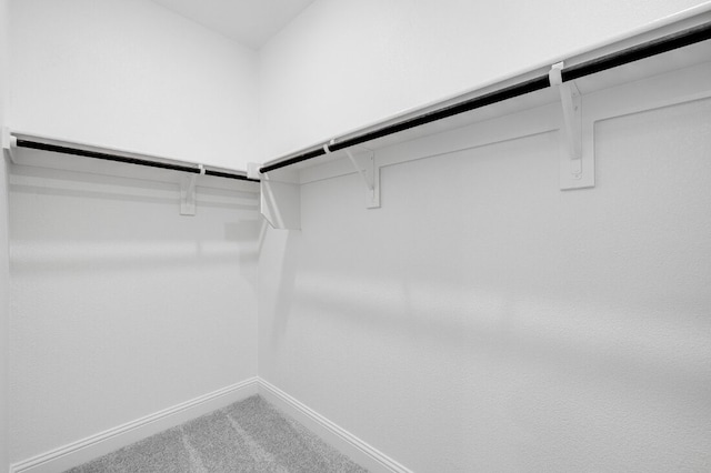 1204 Toro Trl, Fort Worth, TX 76052 - spacious closet with carpet