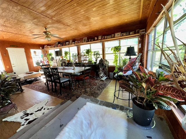 1002 Wrights W, Comanche, TX 76442 - sunroom with plenty of natural light