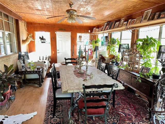 1002 Wrights W, Comanche, TX 76442 - dining area featuring ceiling fan, wooden ceiling, wood finished floors, and wooden walls