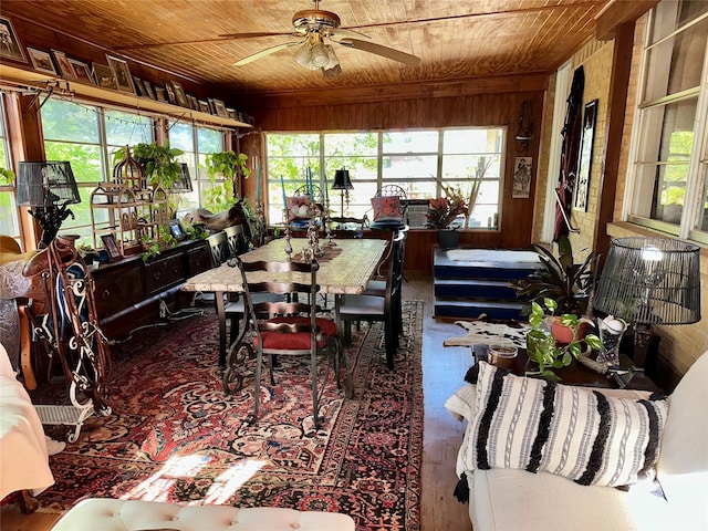 1002 Wrights W, Comanche, TX 76442 - sunroom / solarium with plenty of natural light