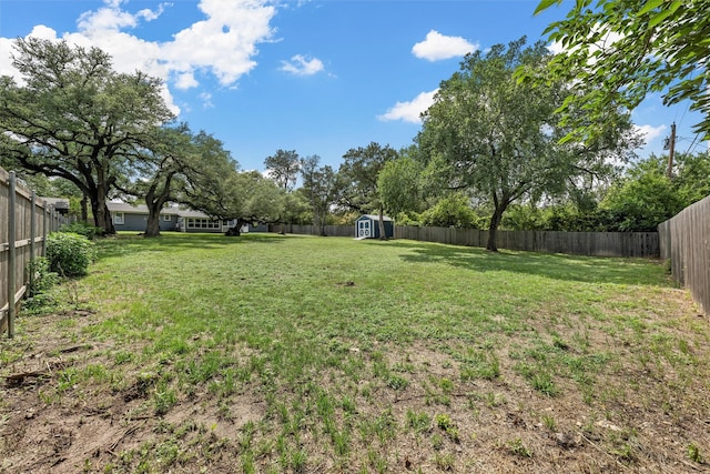3917 N 31st St, Waco, TX 76708 - view of yard