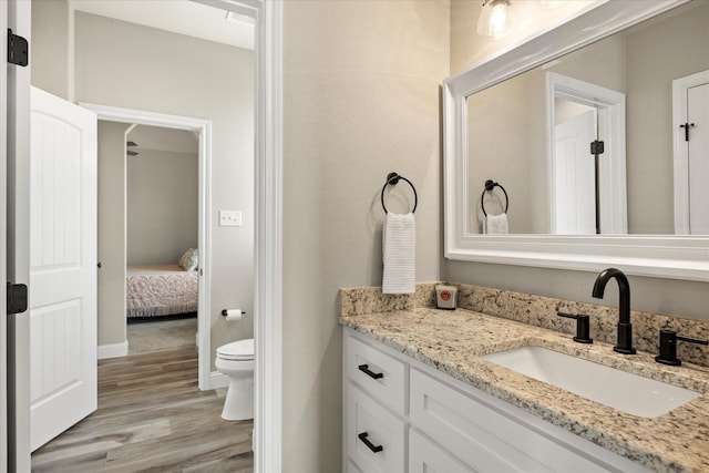 2141 Vanderbilt Dr, Weatherford, TX 76088 - ensuite bathroom with vanity, wood finished floors, and toilet