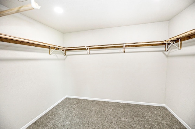 190 Trail Dr, Bowie, TX 76230 - spacious closet featuring carpet flooring