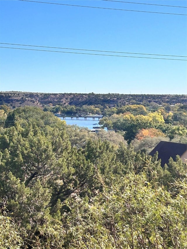 155 Saint Andrews Rd, Amarillo, TX 79118 - aerial view of a forest