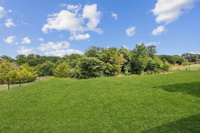 2608 Morning Mist Ln, Nevada, TX 75173 - view of yard