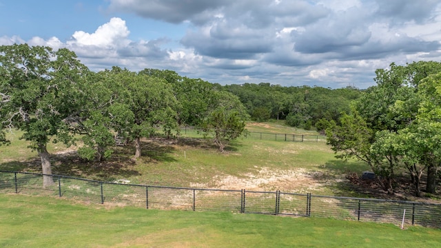 105 Aslan Rd, Poolville, TX 76487 - view of yard featuring a view of rural / pastoral area and a gate