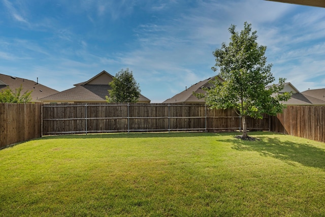 404 Madrone Ln, Princeton, TX 75407 - view of yard
