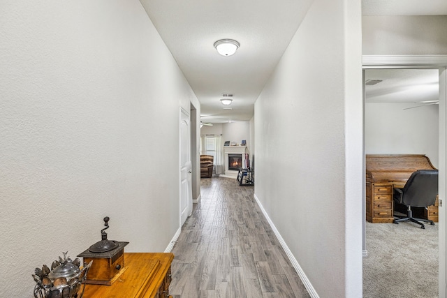 404 Madrone Ln, Princeton, TX 75407 - hallway featuring baseboards and wood finished floors