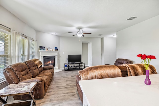 404 Madrone Ln, Princeton, TX 75407 - living area with a glass covered fireplace, light wood-style flooring, ceiling fan, and baseboards