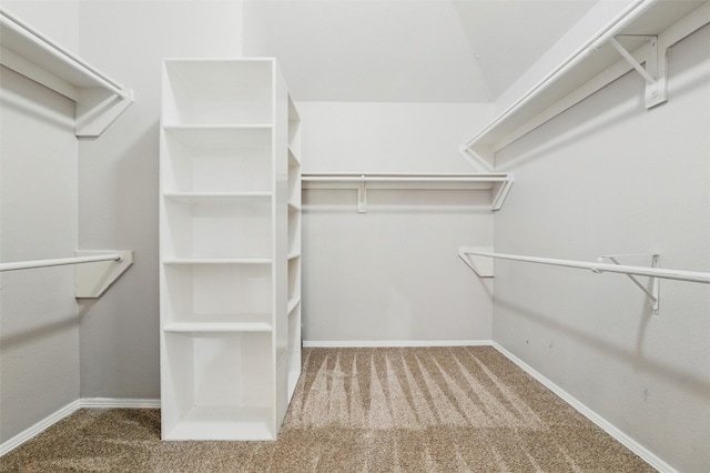3402 Blue Forest Dr, Arlington, TX 76001 - spacious closet with carpet floors