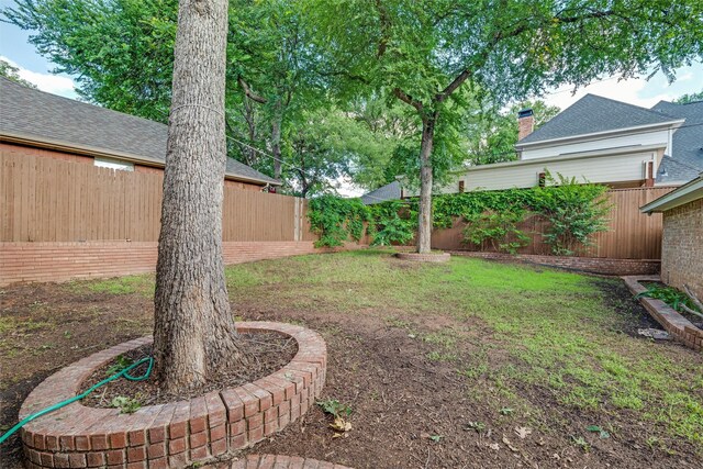 3402 Blue Forest Dr, Arlington, TX 76001 - view of yard