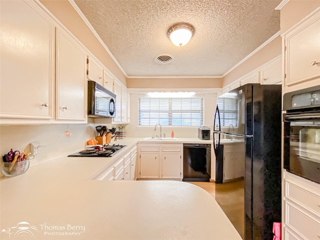 2850 Button Willow Ave, Abilene, TX 79606 - kitchen with black appliances, a sink, a textured ceiling, crown molding, and white cabinets