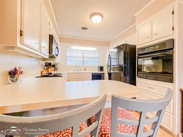 2850 Button Willow Ave, Abilene, TX 79606 - kitchen featuring black appliances, a textured ceiling, a sink, crown molding, and light countertops