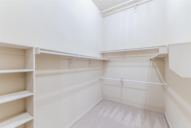 1728 Sandpiper Ln, Carrollton, TX 75007 - walk in closet with carpet floors